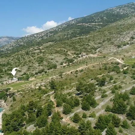 Robinson Veritas بول