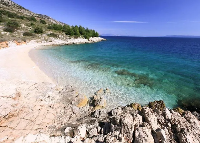 別荘 Robinson Veritas