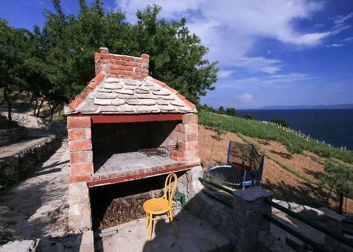 Robinson Veritas ボル