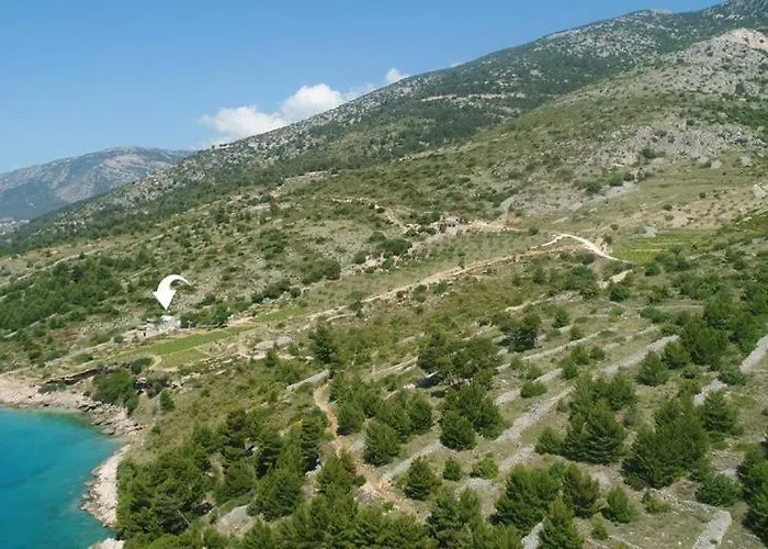 Robinson Veritas בול