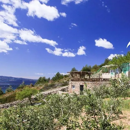 Robinson Veritas Bol