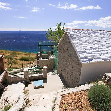 Semesterbostad Robinson Veritas Bol