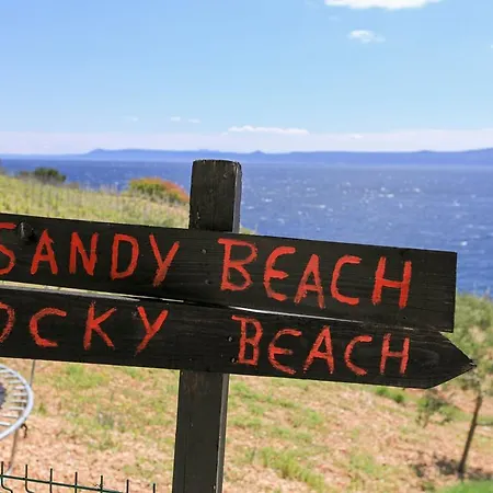 Robinson Veritas * Bol